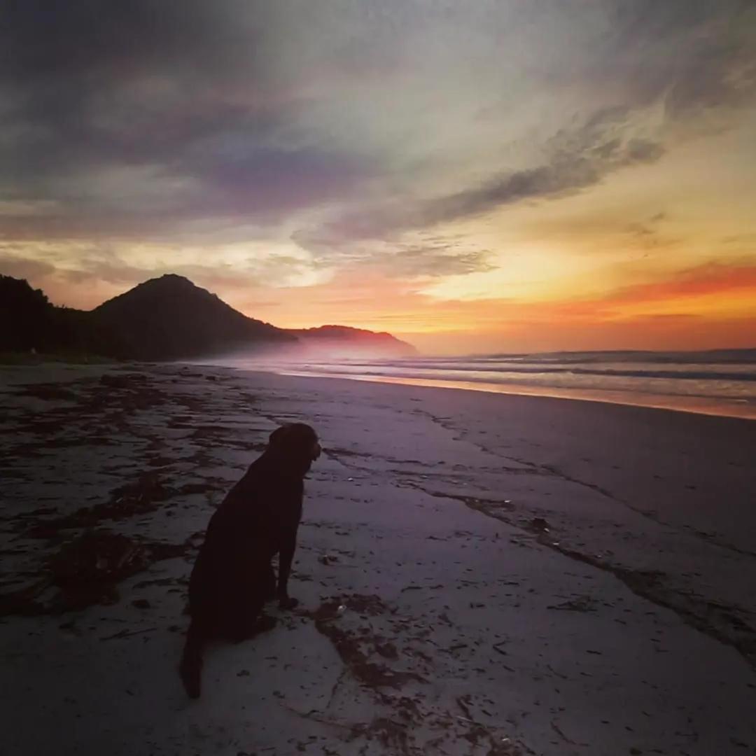 Praia De Itamambuca- Casa Charmosa E Iluminada Ubatuba Exterior foto